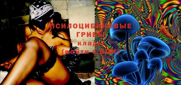 дживик Верея